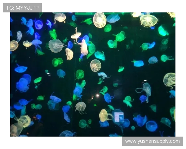 水族馆事件真相引热议各方质疑管理疏漏是否酿成安全隐患